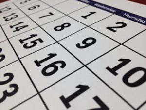 Calendario para programar elaborar Plan de Empresa -#XelaGlobal
