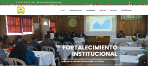 Portafolio Web Xela Global